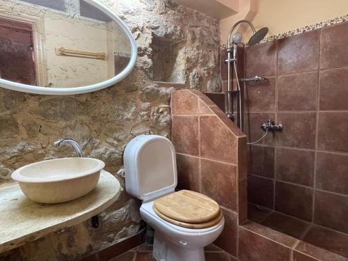 a bathroom with a sink and a toilet and a mirror at Traditional Stone House in Lazaráta
