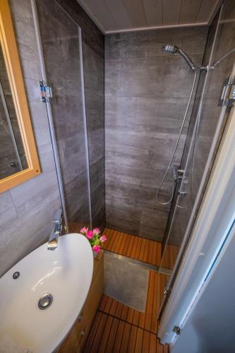 a bathroom with a shower and a white sink at Magisches Abenteuer-Hausboot Juno in Fürstenberg