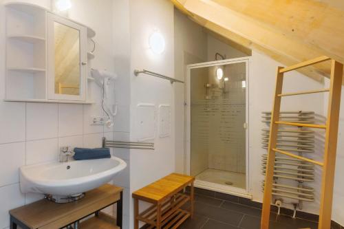 a bathroom with a sink and a shower at Ferienhaus Eifel Atrium in Zweifelscheid