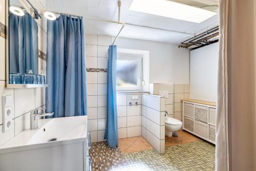a bathroom with a toilet and a blue shower curtain at Die Schneiderei in Balingen