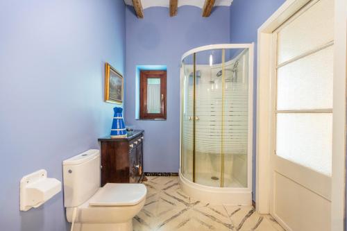 a blue bathroom with a toilet and a shower at Ca l'Andorrà in Vila-Sana