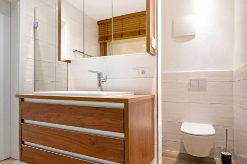 a bathroom with a sink and a toilet at Chalet Foret - Ferienwohnung in Todtnauberg