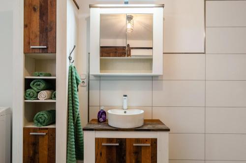 a bathroom with a sink and a mirror at Ferienwohnung am Vogler in Holenberg