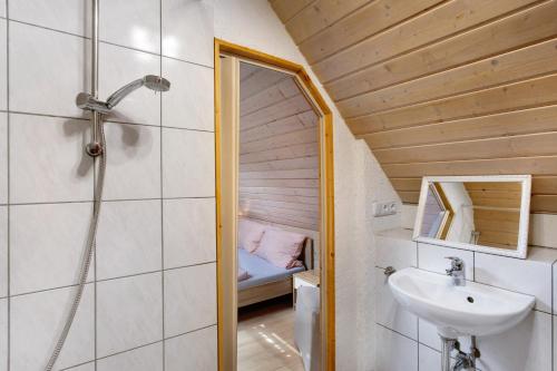 a bathroom with a shower and a sink and a mirror at Ferienwohnungen Roth in Willingen