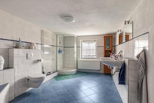 a bathroom with a toilet and a sink and a shower at Ferienhaus em Biehl in Frankenhofen