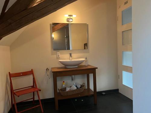 a bathroom with a sink and a mirror and a chair at Vorwerk Biensdorf in Lichtenau
