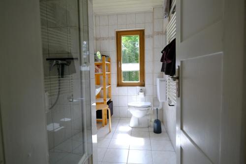 a bathroom with a toilet and a glass shower at altes forsthaus schotten in Schotten