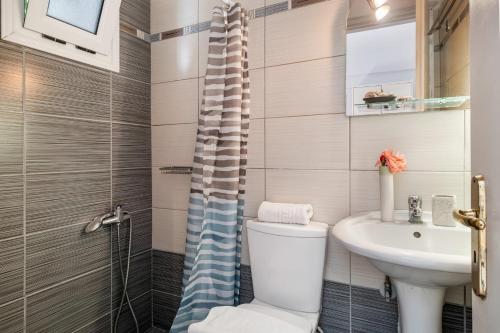 a bathroom with a toilet and a sink and a shower at Apollon Apartment in Póndi
