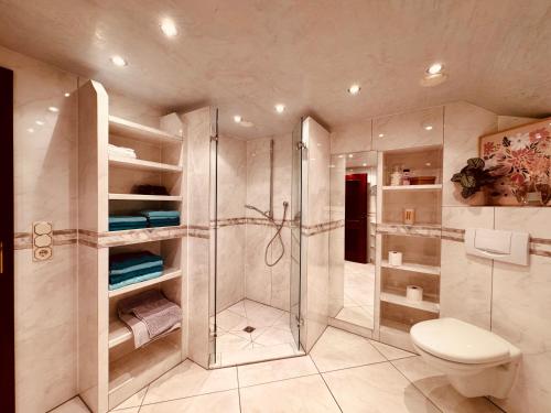a bathroom with a shower and a toilet at The red House in Schönecken