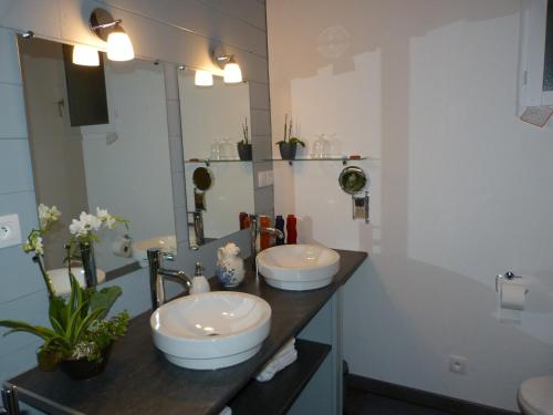 a bathroom with two sinks and a mirror at La Chambre aux Oiseaux in Cayriech