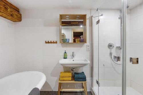 a bathroom with a sink and a shower at Bachrainhof 2 in Menzenschwand