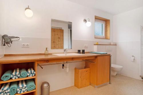 a bathroom with a sink and a toilet at Ferienhaus am Ried in Ostrach