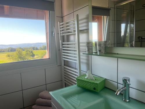a bathroom with a sink and a mirror and a window at Haus Jehle in Görwihl