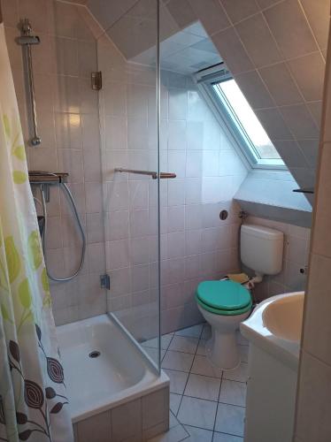 a bathroom with a green toilet and a shower at Ferienwohnung Schiemann in Krienke