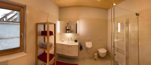 a bathroom with a sink and a toilet and a shower at Ferienwohnung am Nettenbach in Bernau im Schwarzwald