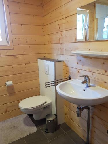 a bathroom with a toilet and a sink at Ferienhaus Wolfshütte in Hillesheim