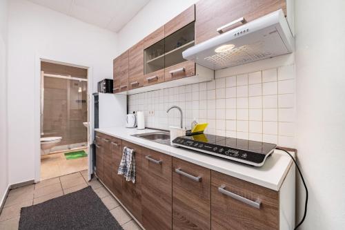 a kitchen with a sink and a counter top at Menzel Ferienwohnungen - W3 in Beckingen