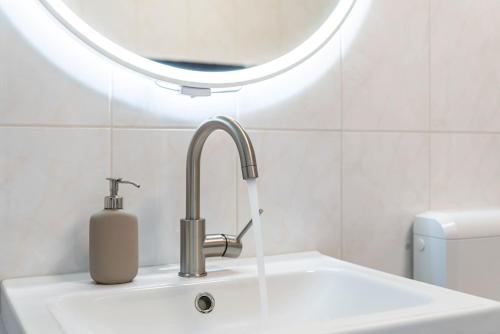 a sink with a soap dispenser next to a mirror at Schwabenseenestle in Uhldingen-Mühlhofen