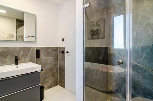 a bathroom with a shower and a sink at Purer Genuss - Exklusive in Owingen