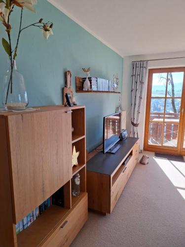 a living room with a book shelf and a tv at Ferienwohnung Leni in Sonthofen