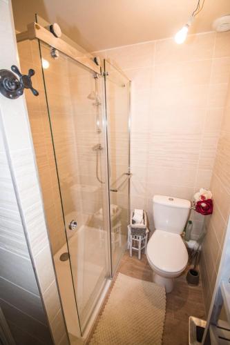 a bathroom with a toilet and a glass shower at Les dames du pont in Pontgibaud