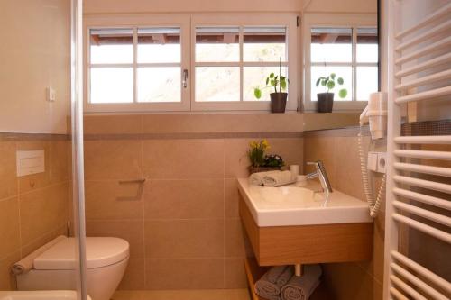 a bathroom with a toilet and a sink and a window at Rosengartnerhof Apt Vorberg in Terlano