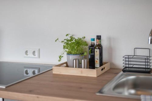 a kitchen counter with bottles of wine and a plant at Blick zum Säntis in Horgenzell