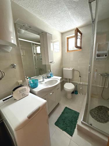 a bathroom with a shower and a sink and a toilet at Guest house Mickovic in Žabljak