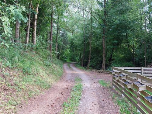 a dirt road in a forest with a wooden fence at Ferienwohnung, offenes Apartment in Mochenwangen