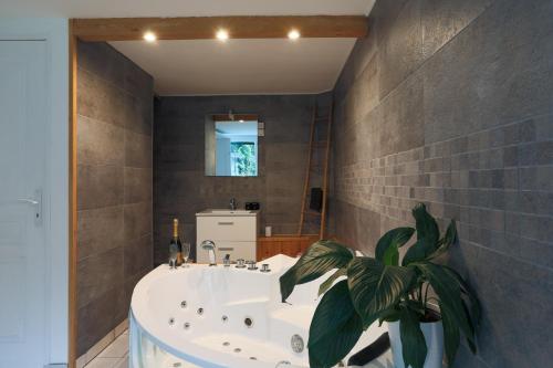 a bathroom with a tub and a potted plant at L'Annexe du Petit Echo de la mode in Plélo
