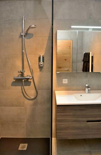 a bathroom with a shower and a sink at Apartment Blaser in Mühlbachl