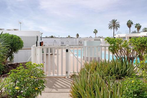 Bungalow Aloe Dunas 2