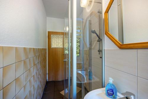 a bathroom with a shower and a sink with a mirror at Wohnung am Geiseltalsee in Mücheln