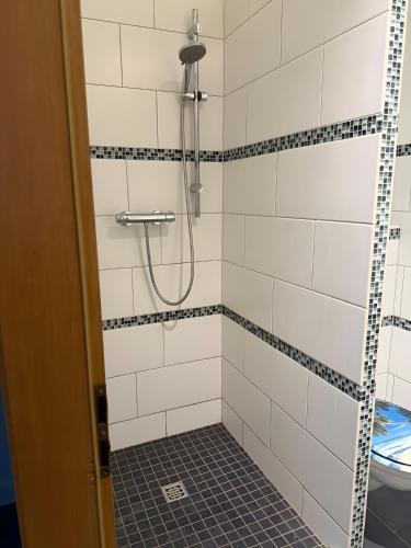 a bathroom with a shower with a toilet at Appartement Neunkirchen City in Neunkirchen