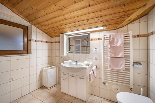 a bathroom with a sink and a toilet at Gartnerhof Apt Sonnenblume in Colle Isarco
