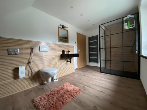 a bathroom with a shower and a toilet and a rug at Bergwiesnblick Apartments in Bärenstein