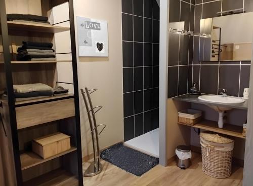 a bathroom with a sink and a mirror at Chambres D'hôtes in Videcosville
