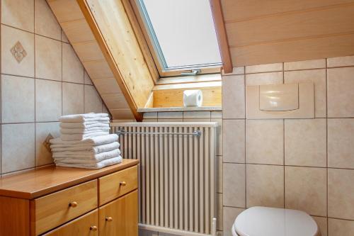 a bathroom with a toilet and a window and a radiator at Ferienhaus Blumenstock in Steinsfeld