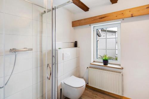 a bathroom with a toilet and a glass shower at Vogelsberger Bett 7 die 1 in Alsfeld