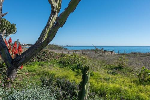 Apartamento de lujo a 30m playa photo 28