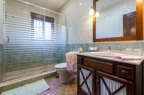 a bathroom with a toilet and a sink and a shower at La Huerta Del Sur in Alhaurín el Grande