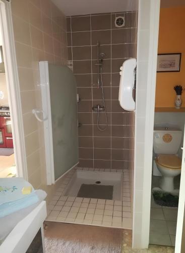 a bathroom with a shower and a toilet at Chambre D'hôtes La Grande Calade in Lagrand