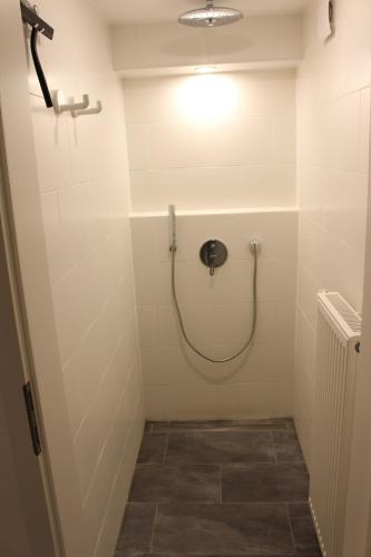 ein Badezimmer mit einer Dusche mit Schlauch an der Wand in der Unterkunft Am Barthelwald in Wilhelmsdorf