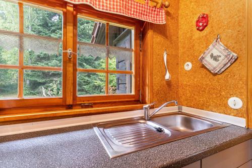 a kitchen with a sink and a window at Blockhaus Paepke in Mühlenbach