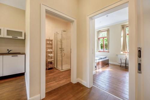a bathroom with a walk in shower and a kitchen at Alte Stadtvilla am Weinberg 2 in Traben-Trarbach