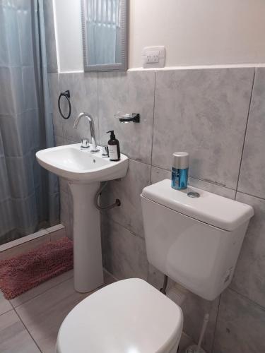 a bathroom with a white toilet and a sink at Cerro Chaltén House - Deptos in El Chalten