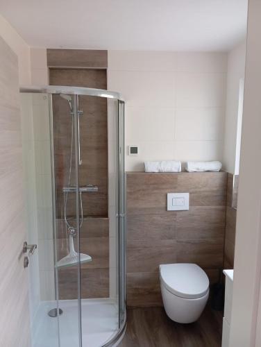 a bathroom with a toilet and a glass shower at Villa am Bacho in Dörzbach