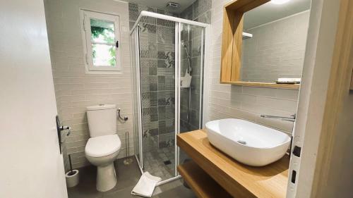 a bathroom with a toilet and a sink and a shower at Le Gite Du Vigneron Périgord in Razac-de-Saussignac
