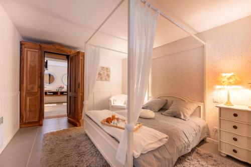 a bedroom with a canopy bed with a mirror at Le Loft avec jacuzzi in Saint-Gildas-de-Rhuys