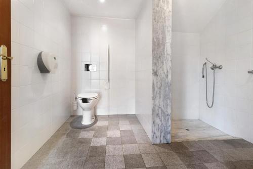 a bathroom with a shower and a toilet at Quinta Da Ataíde in Rendufe